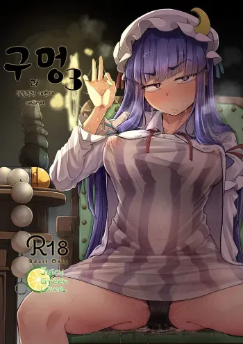 [Jikahatsudensho (flanvia)] Ana to Muttsuri Dosukebe Daitoshokan 3 | 구멍과 무뚝뚝한 개변태 대도서관 3 (Touhou Project) [Korean] [Digital] manga cover
