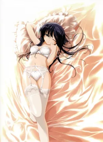 Illustrated Satin - Satin Sheets, Panties, Lingerie, Gowns... manga cover