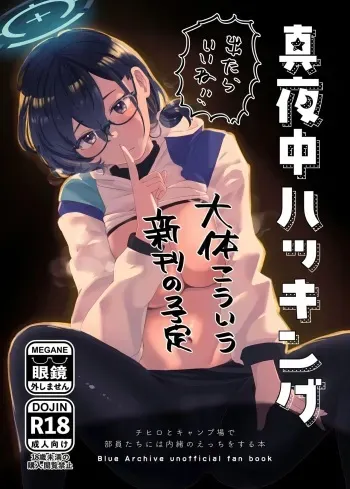 (Sanctum Archive chapter.4) [Corpo Korin (Korin, Ryusei★)] Mayonaka Hacking | 한밤중의 해킹 (Blue Archive) [Korean] manga cover