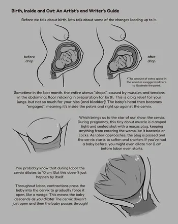 [Zendrid] Birth, Inside and Out: An Artist's and Writer's Guide manga cover