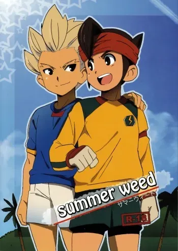 [West One (10nin, Inuyama Niyao)] Summer Weed (Inazuma Eleven) manga cover