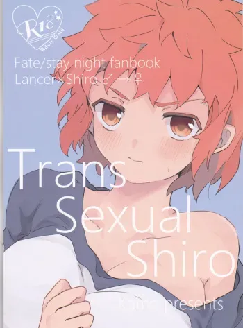 (Dai 27-ji ROOT4to5) [Kamo Nanban (Kamo)] Trans Sexual Shiro (Fate/stay night) manga cover