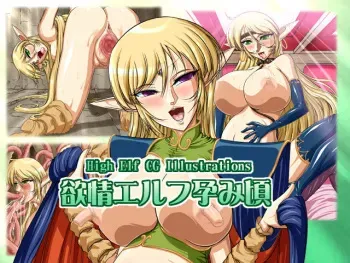 [SLW (Q1)] Yokujou Elf Haramigoro (Record of Lodoss War) manga cover