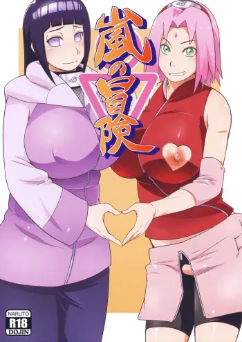 (C94) [Karakishi Youhei-dan Shinga (Sahara Wataru)] Arashi no Bouken (Naruto) [French] manga cover