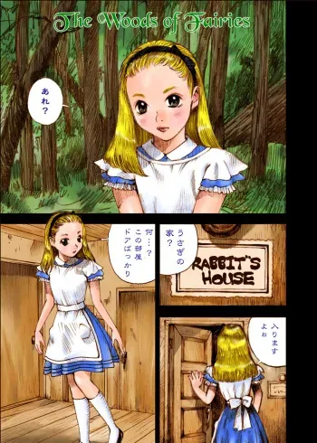 [Kuro no Alice (Nakamura Mizumo)] The Woods of Fairies ~Yousei no Mori~ manga cover