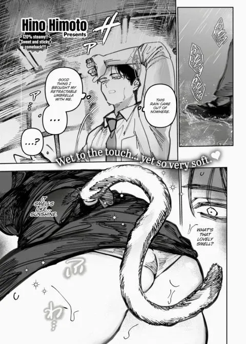 The Cat Smolders in Secret manga cover