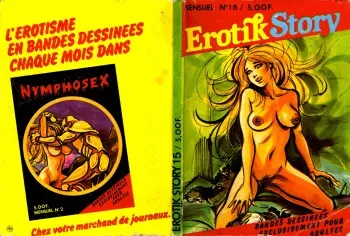 [Hodges] Erotik Story - Volume 15 [French] manga cover