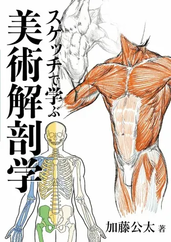 Art anatomy learned from sketches by Kota Kato manga cover