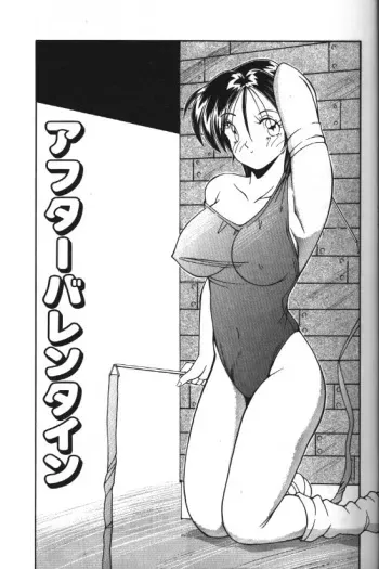 [Hoka no Ansorojii]After Valentine manga cover