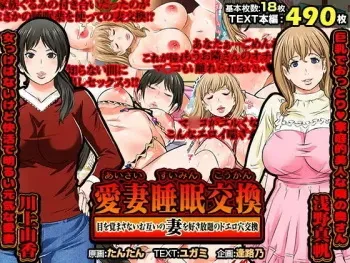 [AREA188] Aisai Suimin Koukan - me wo Samasanai Otagai no Tsuma wo Sukihoudai no doero Ana Koukan manga cover