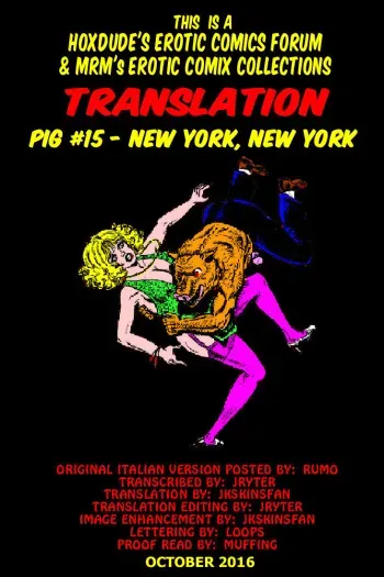 PIG #15 NEW YORK, NEW YORK - A JKSKINSFAN TRANSLATION manga cover
