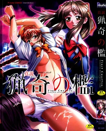 [Anthology] Shinsetsu Ryouki no Ori FIRST CHAPTER manga cover