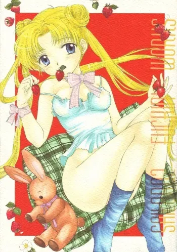(C51) [Sailor Q2 (Ryö)] SFW Sailor Q2 Fuckin' Works (Bishoujo Senshi Sailor Moon) manga cover