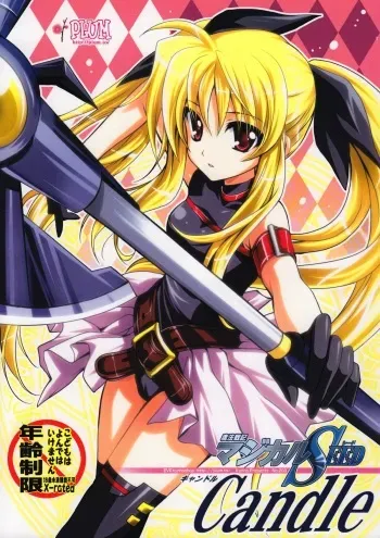 (Toramatsuri 2010) [PLUM (Kanna)] Mahou Shoujo Magical SEED Candle (Mahou Shoujo Lyrical Nanoha) manga cover