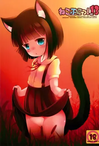 (C92) [Cat Expert (Nekousa)] Neko Puni! vol.13 manga cover