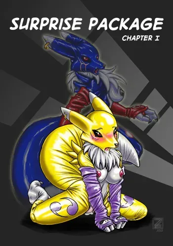[S'Nina Sirius (S0lar1x)] Surprise Package (Digimon) manga cover