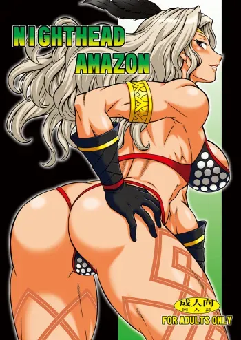 (C85) [Circle Taihei-Tengoku (Aratamaru)] Nighthead Amazon (Dragon's Crown) manga cover