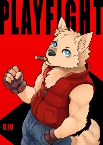 (FF29) [KUMAK.COM (KUMAK)] PLAY FIGHT [English] manga cover