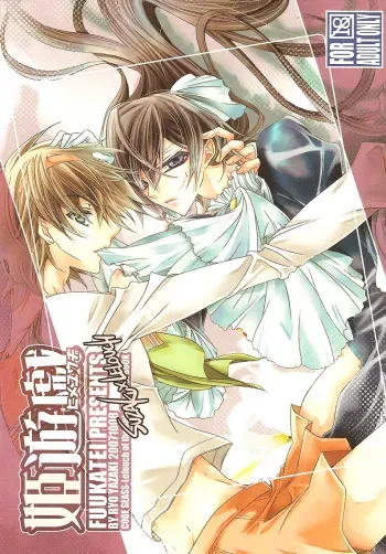 (SC37) [Fuukatei (Yazaki Ryoo)] Hime Yuugi (CODE GEASS: Lelouch of the Rebellion) [English] [BangAQUA] manga cover