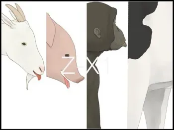 [KWI AG] Z-X1 manga cover