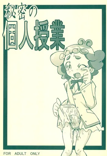 (Princess Festa 3) [Gorotaishi (Gorohati)] Himitsu no Kojin Jugyou (Fushigiboshi no Futago Hime) manga cover