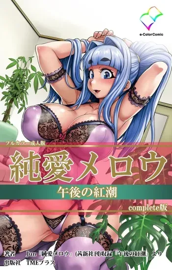 [Jun] [Full Color Seijin Han] Junai Mellow Gogo no Kouchou Complete Ban [Digital] manga cover