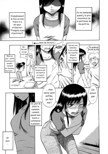 [Shiden Akira] Tiny Boobs, Giant Tits History (French) manga cover