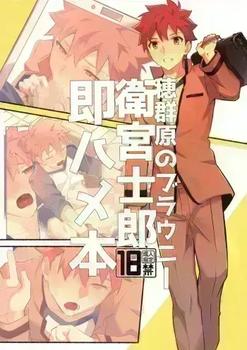 Homurabara no Brownie Emiya Shirou Soku Hame Hon manga cover