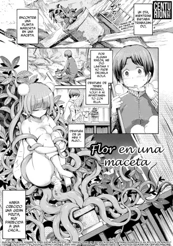[Horitomo] Hachi no Ue no Flower | Flor en una maceta (Kentauros wa Hitori Ja Dekinai) [Spanish] [Centurion Scans] [Digital] manga cover