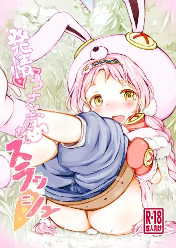 Hatsujou Usagi-san Slash manga cover