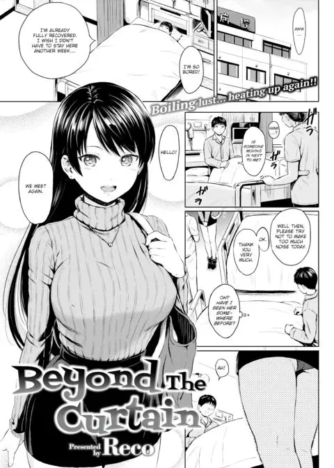 Beyond The Curtain manga cover