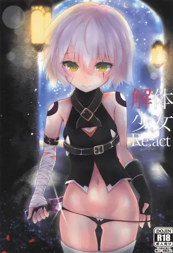 (COMIC1☆13) [Jukai Shoko (Fujimi Gaku)] Kaitai Shoujo Re:act (Fate/Grand Order) manga cover