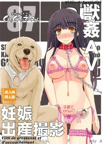 (C87) [Shiawase Kyouwakoku (Shiawase no Katachi)] Shiawase no Katachi no Guruguru Netachou 87 Juukan AV Ninshin Shuusan Satsuei manga cover