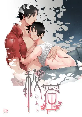 (SUPER23) [S+y (Yumiya)] Himitsu | Secret (One Piece) [English] manga cover