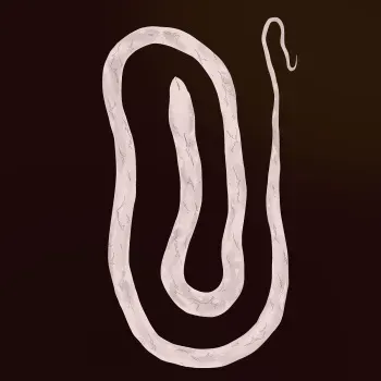 White Snake manga cover