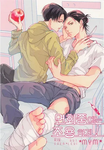 (Chou Hekigai Chousa Haku 2019) [*MYM* (Asakura)] Menkaichuu wa Oshizuka ni! | 면회중에는 조용하게! (Shingeki no Kyojin) [Korean] manga cover