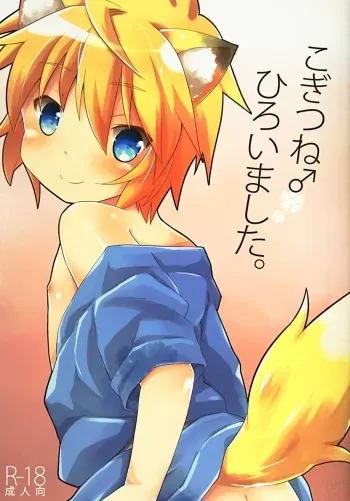 (C88) [Rideshion (Kazushi)] Kogitsune Hiroimashita. manga cover
