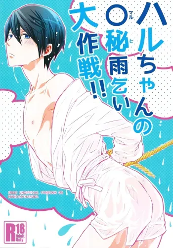 HaruHi Amagoi Daisakusen!! manga cover