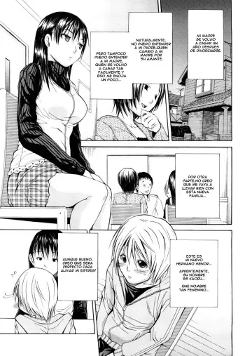 [Junkie] Himitsu no Yoru | A Secret Night (Sukidakara Shichauno) [Spanish] [KH] manga cover