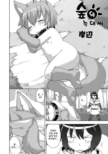 [Kishibe] Mori no Ookami-san (PLUM FE Vol. 5) [Korean] [Digital] manga cover