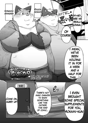 Our Secret Play manga cover