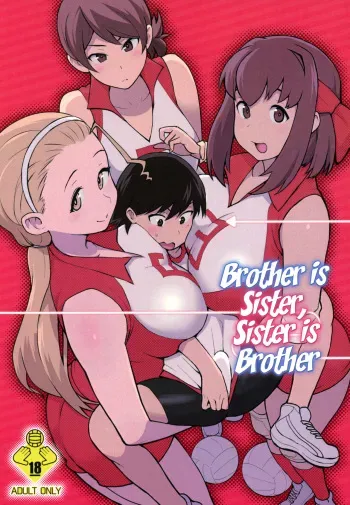 (C92) [Kakuzato-ichi (Kakuzatou)] Ani ga Watashi de Watashi ga Ani de | Brother is Sister, Sister is Brother (Girls und Panzer) [English] [EHCOVE] manga cover