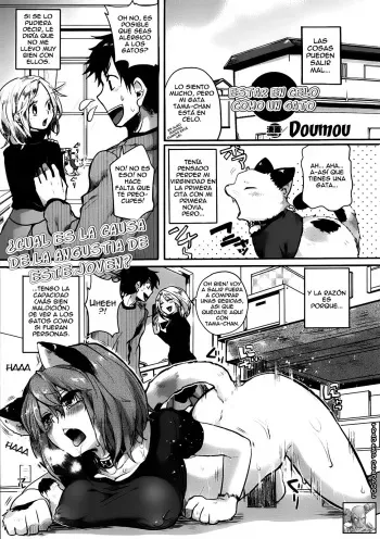 [Doumou] Nyanko na Hatsujouki | Going Into Heat Like a Cat (Comic Unreal 2013-02 Vol. 41) [Spanish] [Deadpool] manga cover