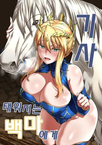 [F.W.ZHolic (FAN)] Hakuba ni Norareru Kishi (Fate/Grand Order) [Korean] [Digital] manga cover