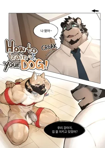 [Kamyuel] How to train your DOG！ [Korean] manga cover