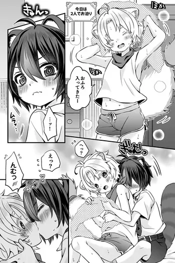 [Rushichi] Araiguma to Ferret no Otokonoko-tachi no Manga manga cover