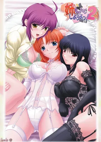[Candy Soft] Nee, Chanto Shiyou yo'! 2 manga cover