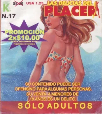 Las Delicias Del Placer_017 manga cover