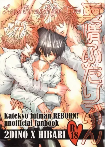 Katekyo Hitman Reborn! dj – Aijou Futaribun manga cover