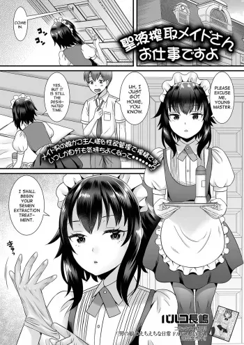 Seiki Sakushu Maid-san Oshigoto Desu Yo manga cover
